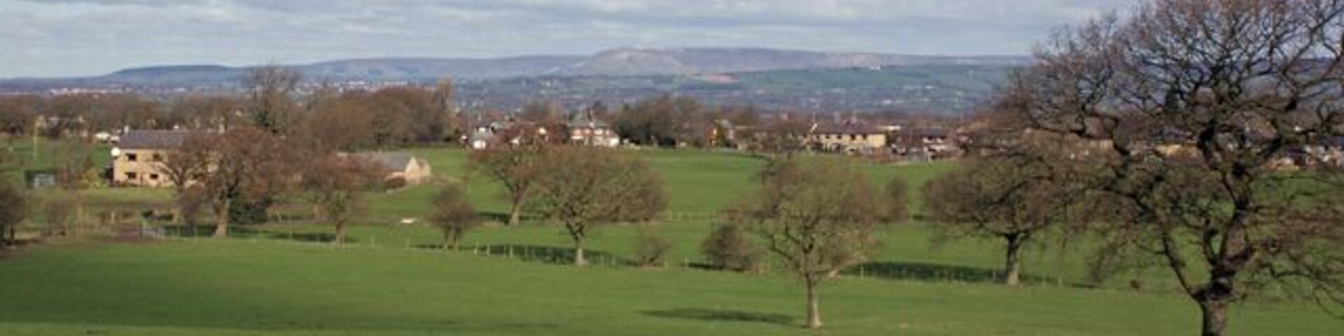 A rural landscape with green fields, scattered trees, and a distant town.