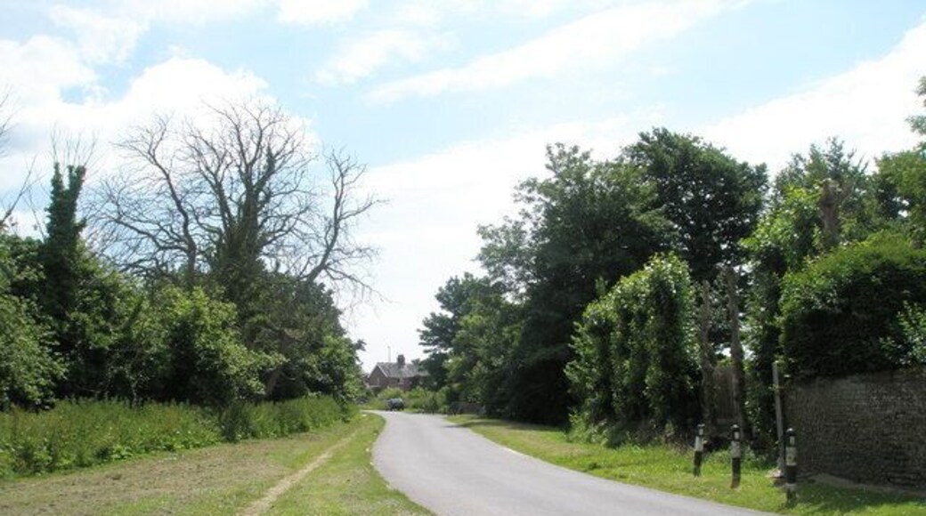 Looking down Hoe Lane towards the A259