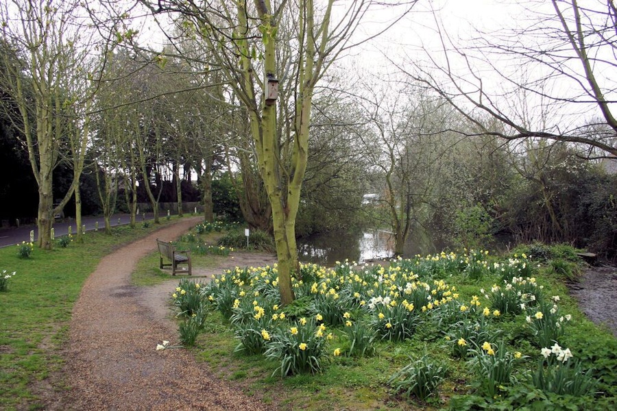 Village pond at Middleton-on-Sea, West Sussex, England