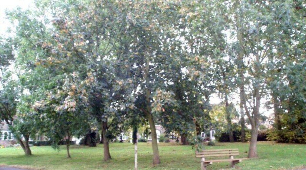 Green space at Woodside Photo taken at 11:58 A pleasant place to sit on a superb Autumn morning.