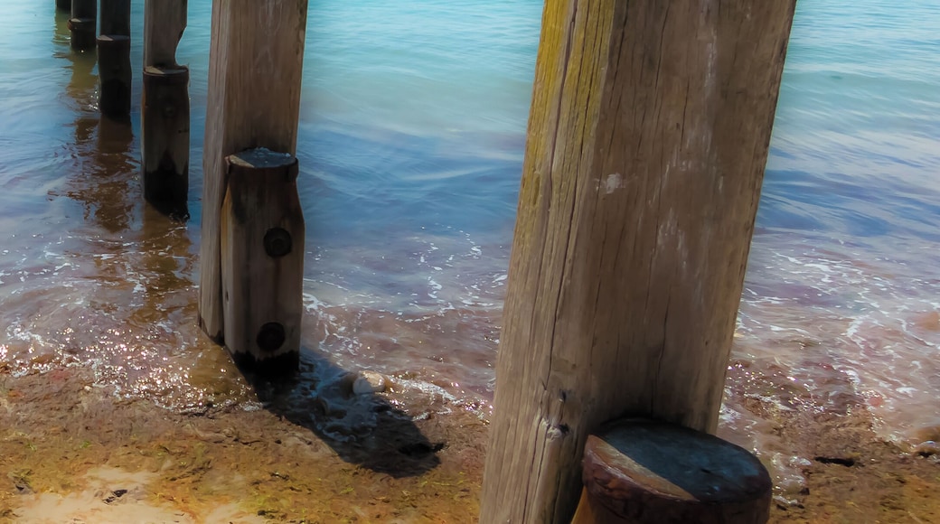 Beautiful man made bay in the heart of Sussex - Ideal for kids to play. (Warning - Parking difficult!