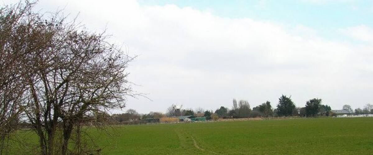 A grassy field with a circular metal structure, a leafless tree, and distant buildings.