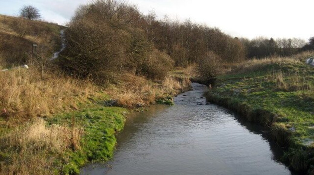 River Don, Boldon Colliery Rather a grand name for a small watercourse like this - seen here looking east, upstream from just below the Metro Station near Boldon Colliery