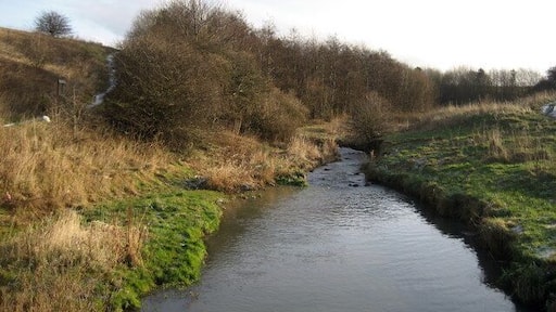 River Don, Boldon Colliery Rather a grand name for a small watercourse like this - seen here looking east, upstream from just below the Metro Station near Boldon Colliery