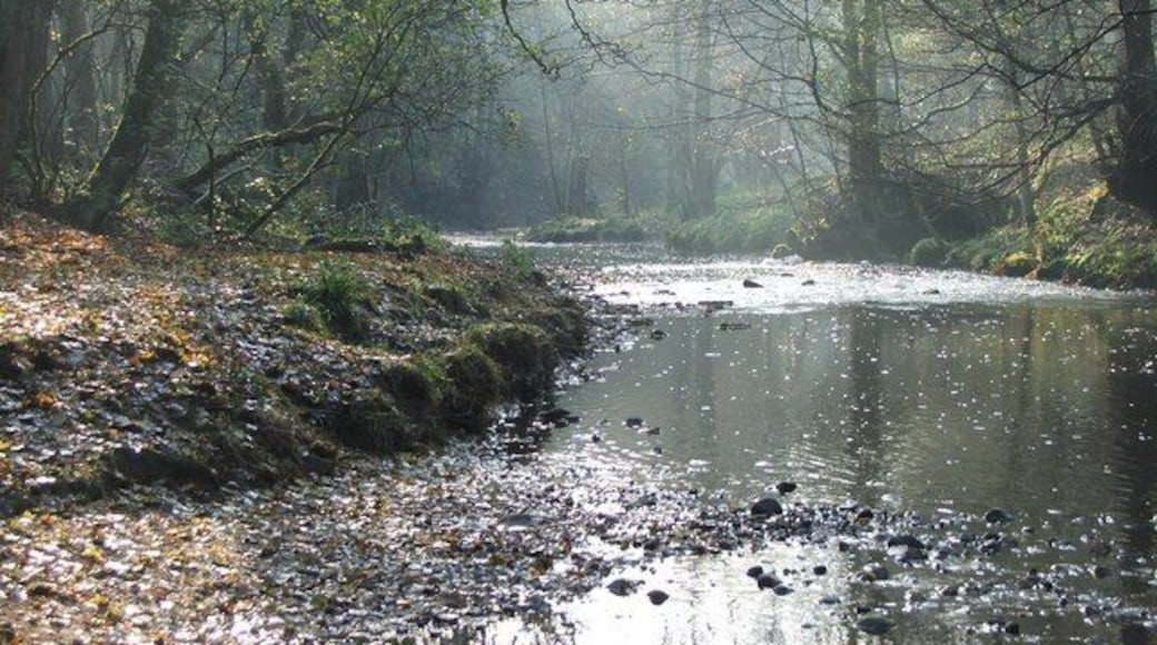 Bradshaw Brook Taken looking up River towards Jumbles reservoir