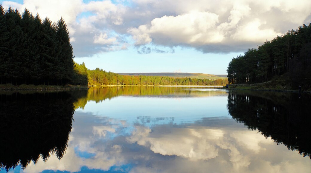 A peaceful & tranquil atmosphere @ the Entwistle Reservoir, Entwistle, nr Bolton, UK (Feb 2018).