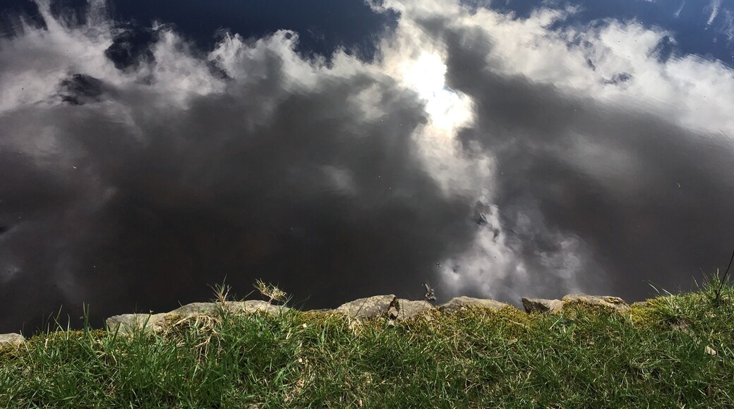 Love love love this pic. This is a photo taken of the reservoir with the reflection of the sun breaking through the clouds. If you look. Lovely you. And see the grass on the edge of the reservoir.