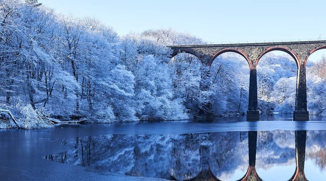 A gentle walk around the reservoir, which can be widened to Jumbles Country Park. #bvs100k