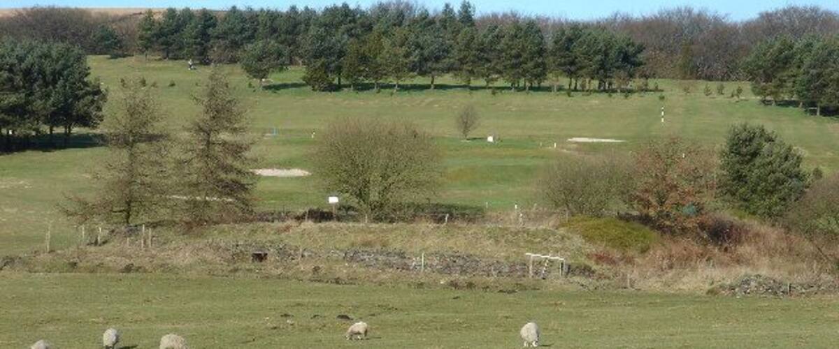 A grassy field with sheep grazing, trees, and a distant hill.