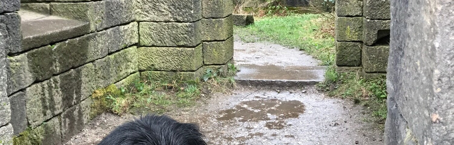 Nice walk down near lakes