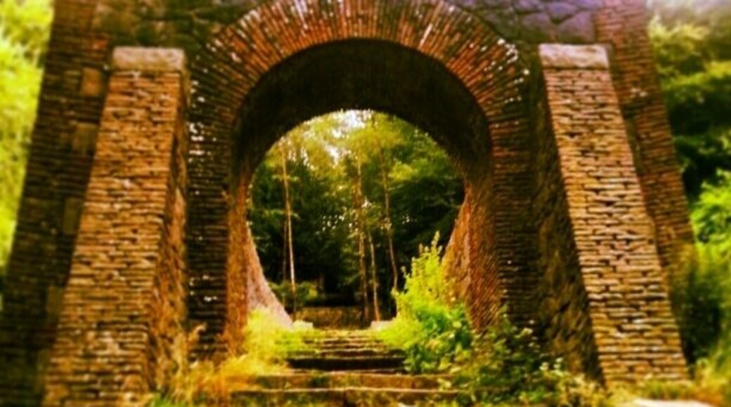 Amazing bit of design .This is part of the bridge feature in an earlier picture i put on here. This is the top of the bridge.