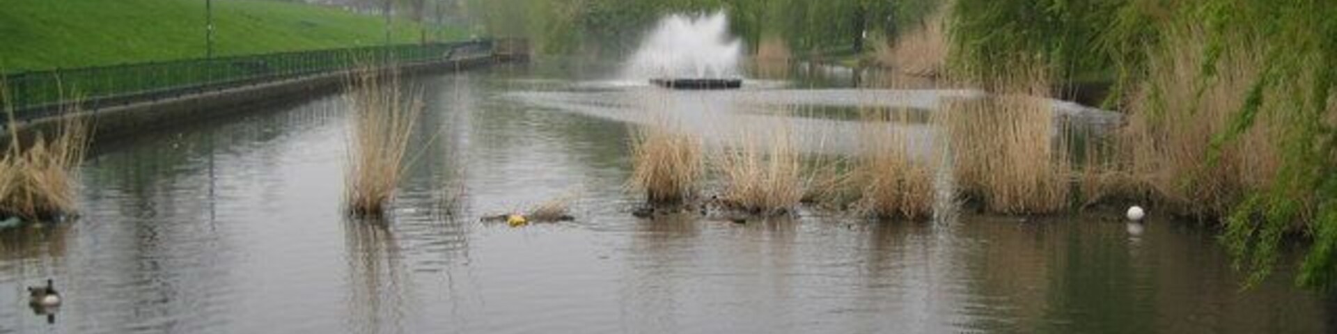 Un río tranquilo con patos, una fuente y una orilla cubierta de césped.