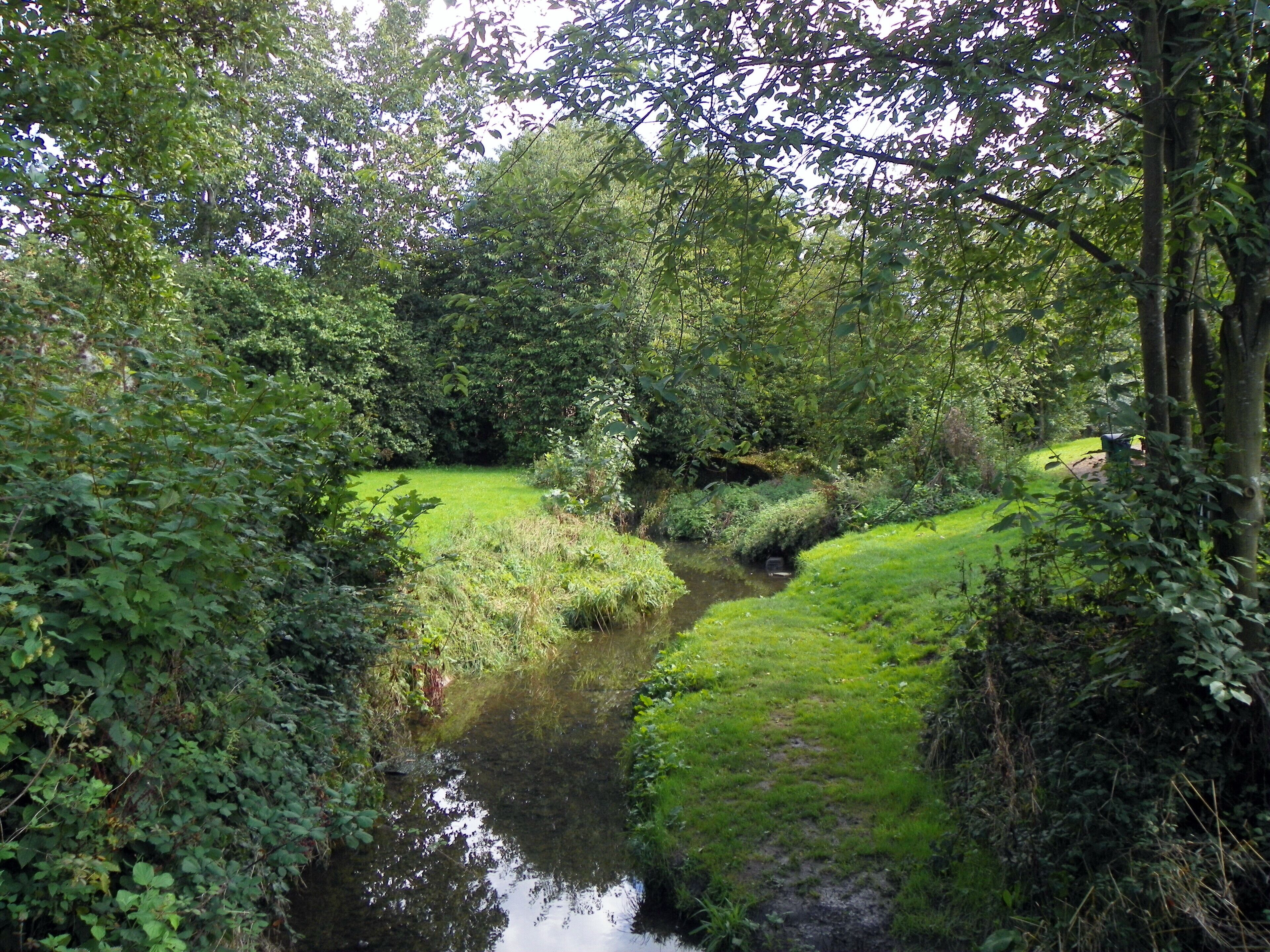Tykes Water/Borehamwood Brook, Borehamwood, Hertfordshire, 6 September 2015. A tributary of the River Colne.