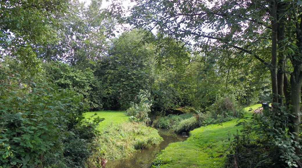 Tykes Water/Borehamwood Brook, Borehamwood, Hertfordshire, 6 September 2015. A tributary of the River Colne.