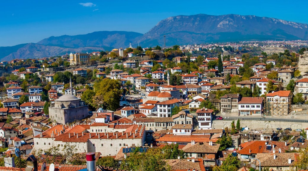 kastamonu houses panorama