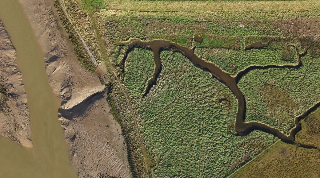Aerial view of the winding waterways carving through Hobhole Bank's lush, green landscape, contrasting with the muddy banks, Boston, United Kingdom.