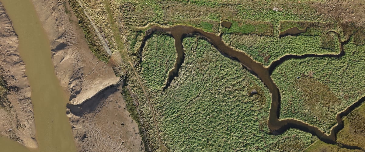Aerial view of the winding waterways carving through Hobhole Bank's lush, green landscape, contrasting with the muddy banks, Boston, United Kingdom.