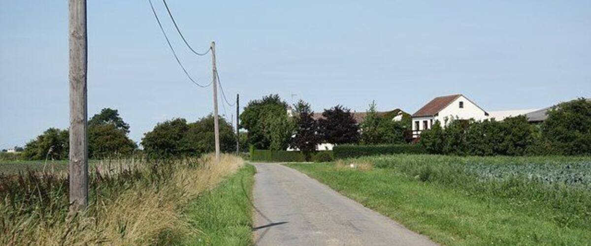 A rural road with a white house on the right, surrounded by fields and trees.