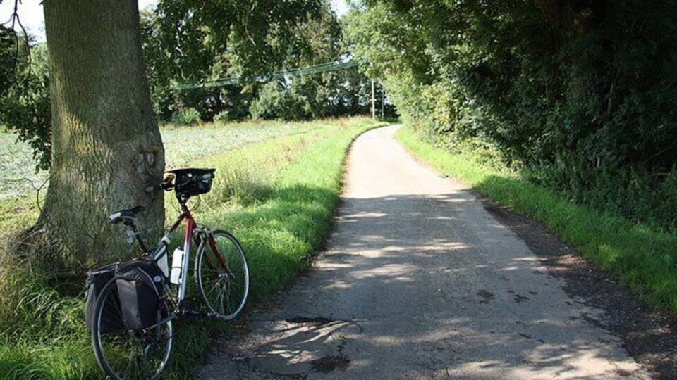 A narrow rural path with a bicycle parked by a tree.