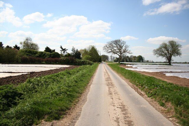 Spicer's Lane. Looking south near Glebe Farm on Spicer's Lane at Benington Sea End.
