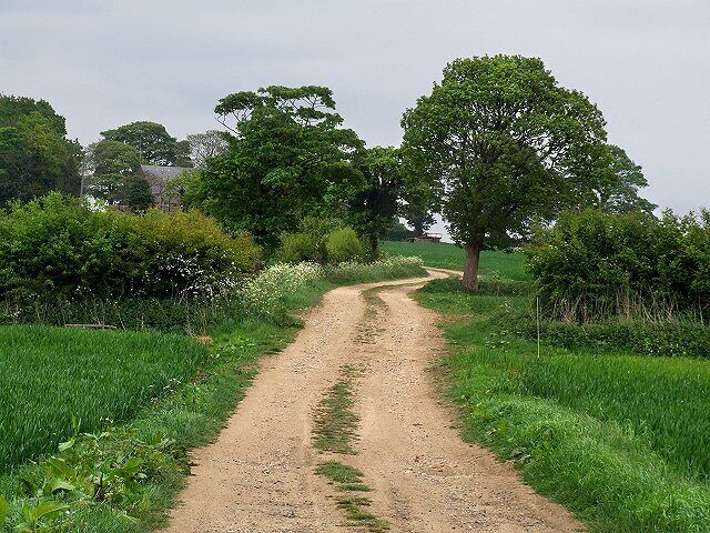 Farm Track Looking back up the track towards the Miningsby road.