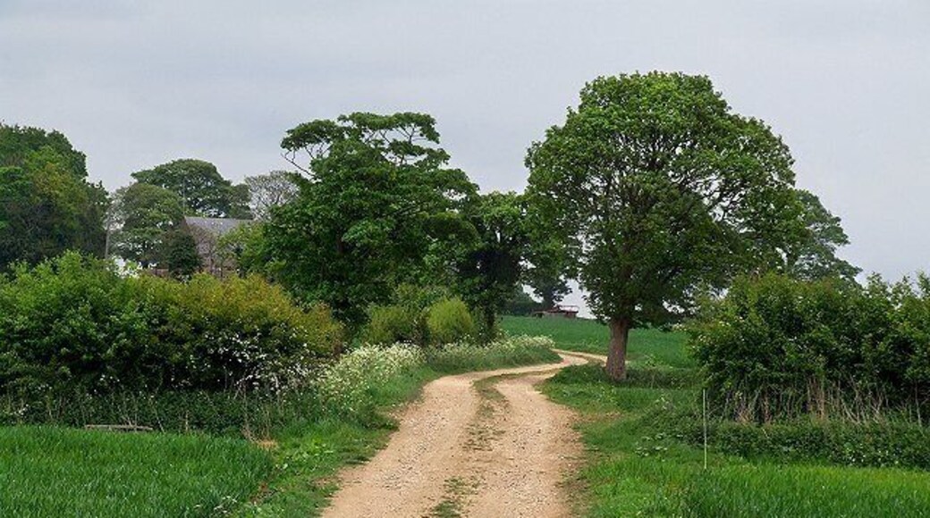 Farm Track Looking back up the track towards the Miningsby road.