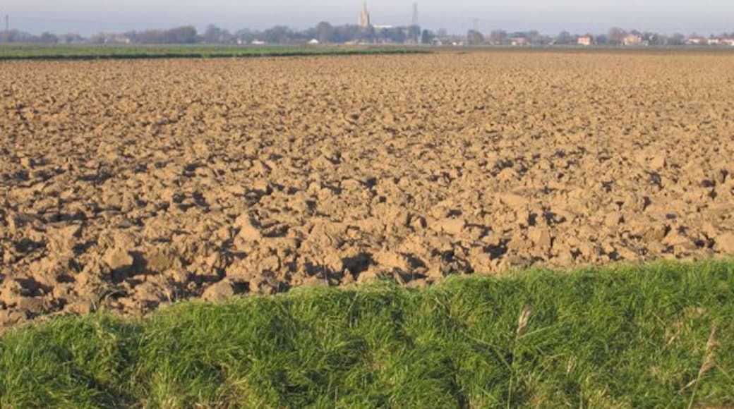 Farmland near Bicker Bar, Lincs. View N across the square from the A52 Donington Road towards Swineshead church in the distance.