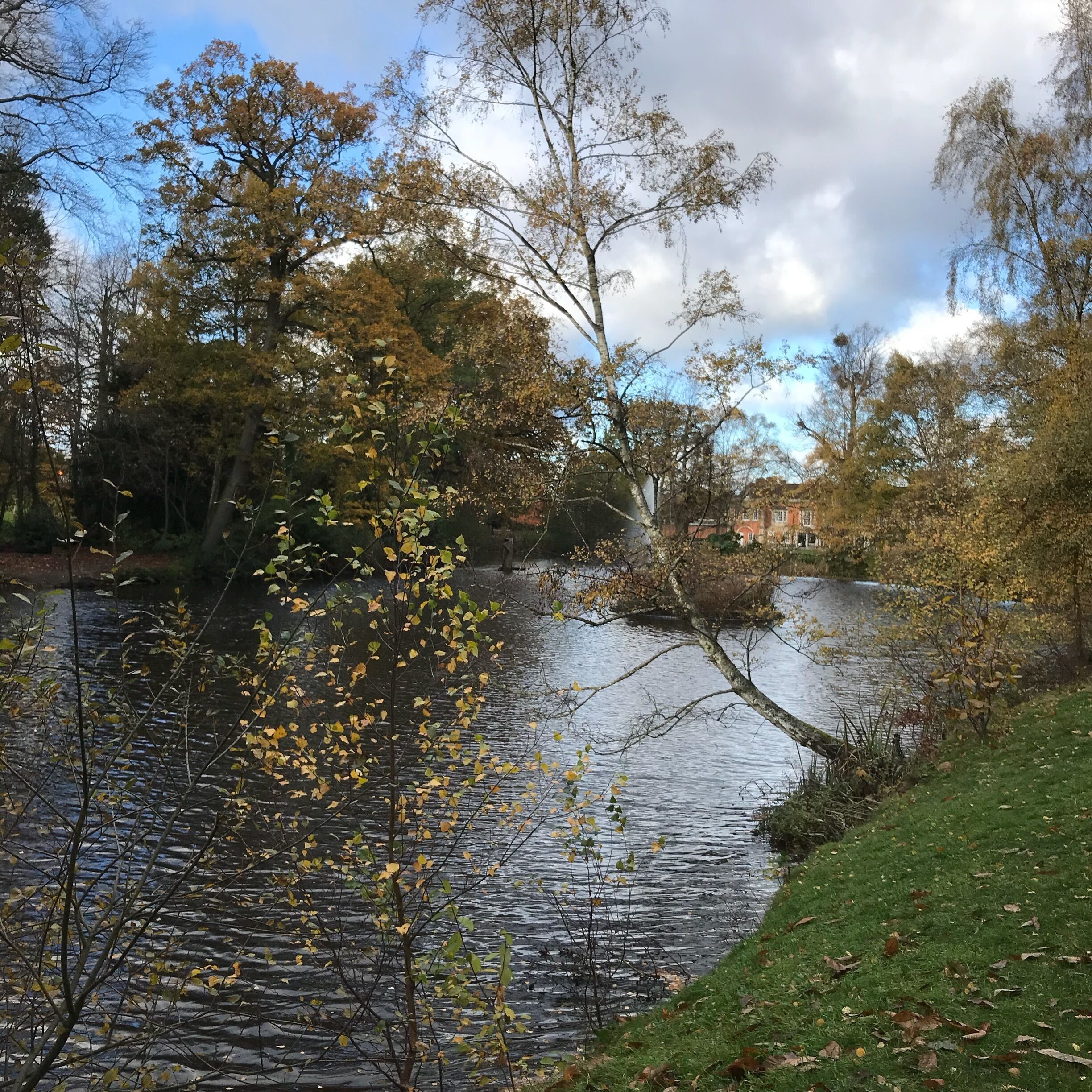 This place is always beautiful which ever season it is.