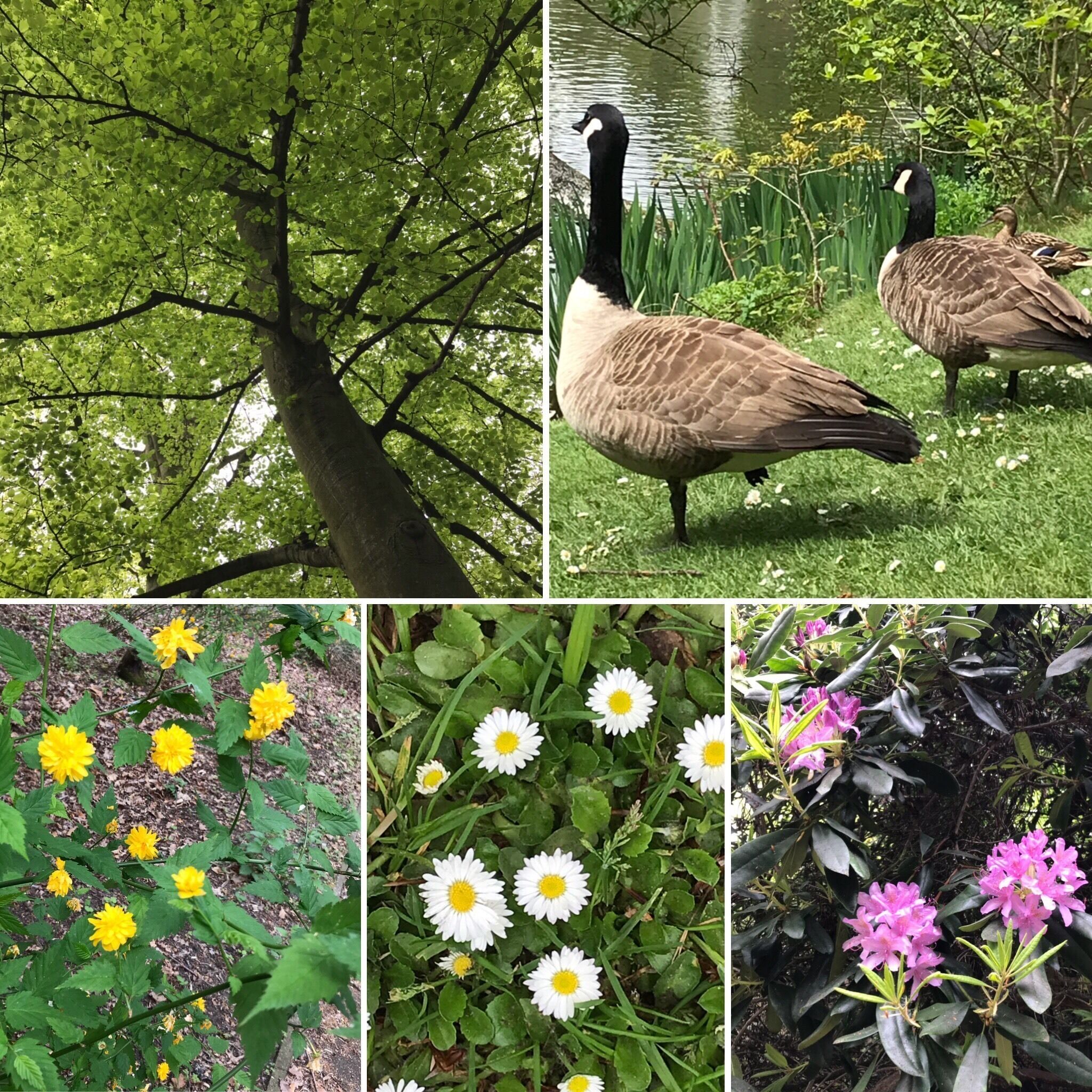 Walking around and finding beauty in nature.