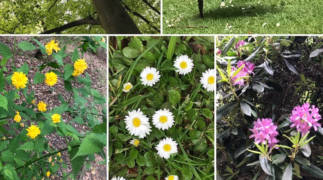 Walking around and finding beauty in nature.