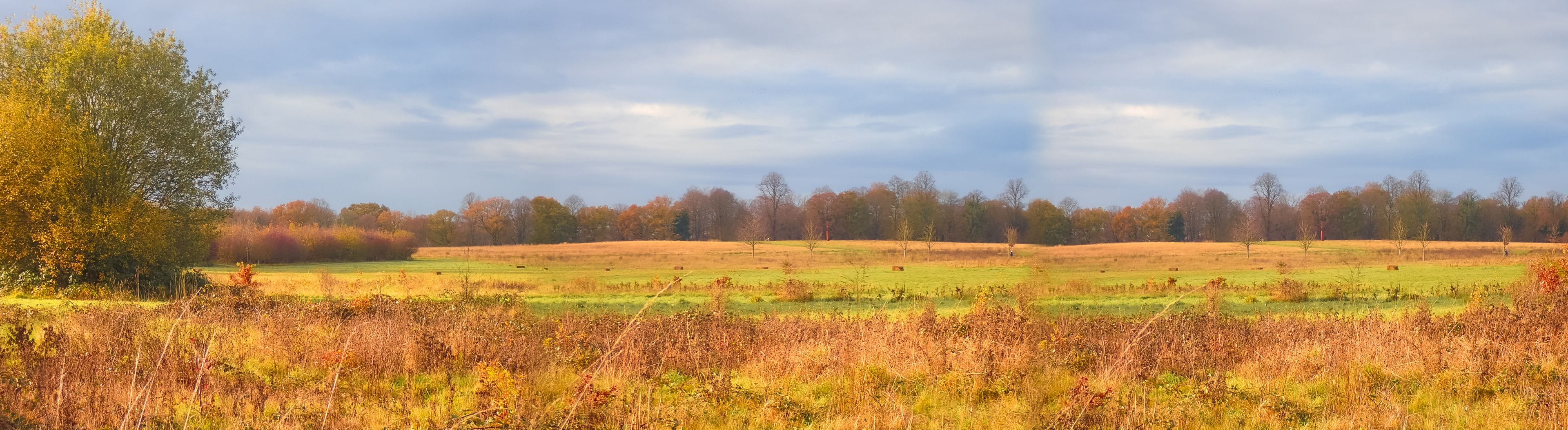 A rural landscape with rolling hills, a field, and a line of trees in the distance.