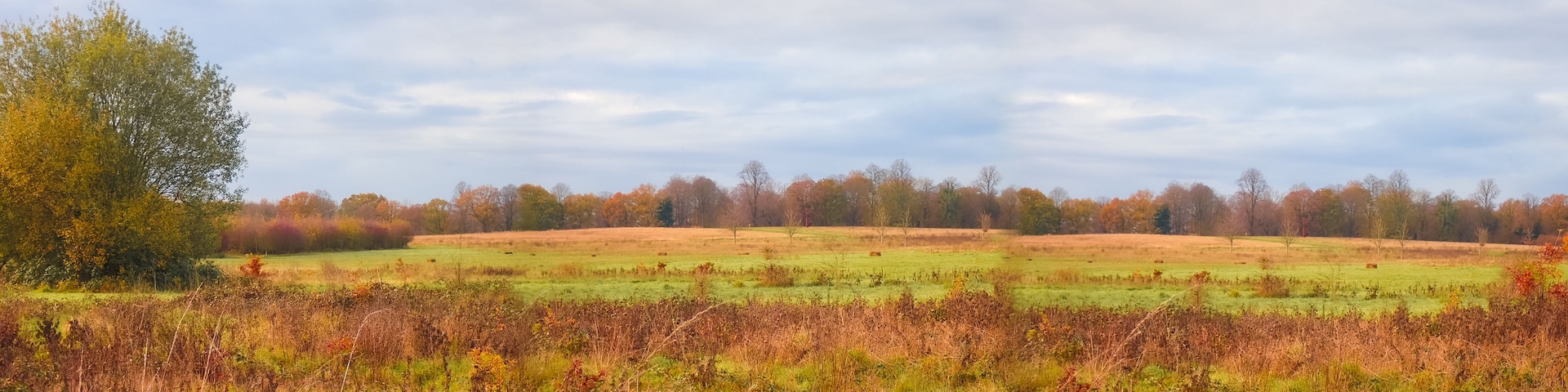 Peacock Meadows Bracknell Berkshire UK. Autumn panorama of meadows