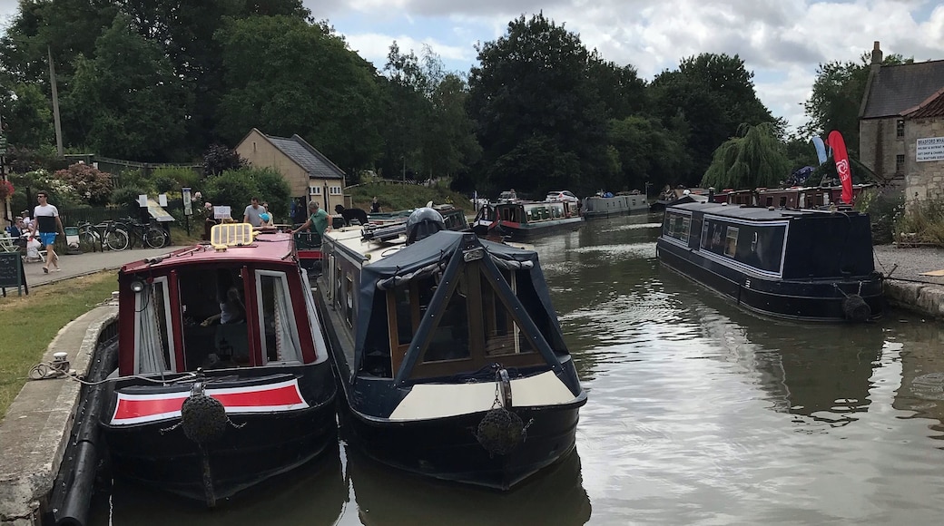 A lovely walk along the canal and lots to see, barns with artwork and nic nacs, canal boats, locks, tea rooms, pubs, river, railway lines and bridges.