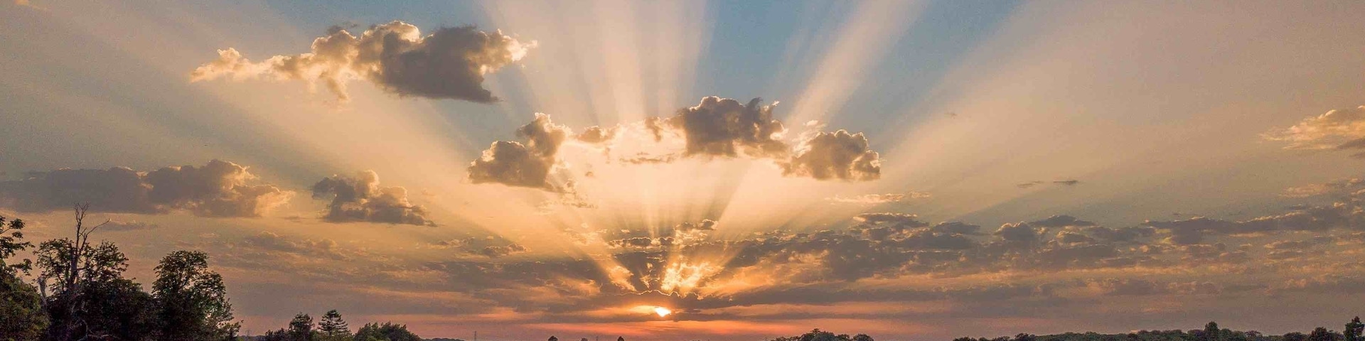 South weald Country Park