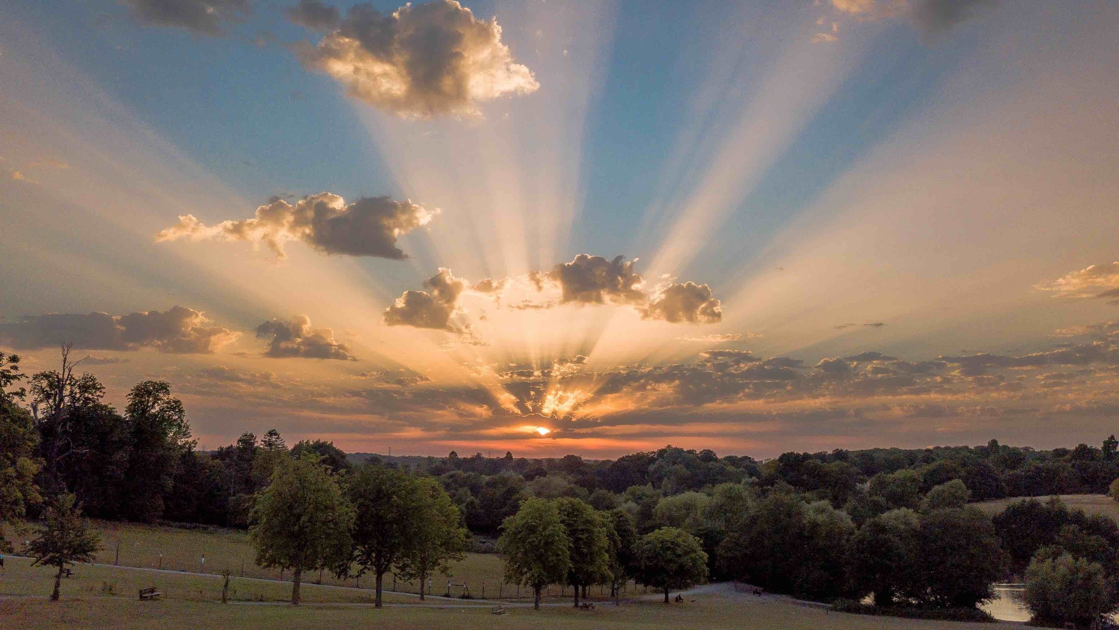 A sunset over a park with trees and a field.
