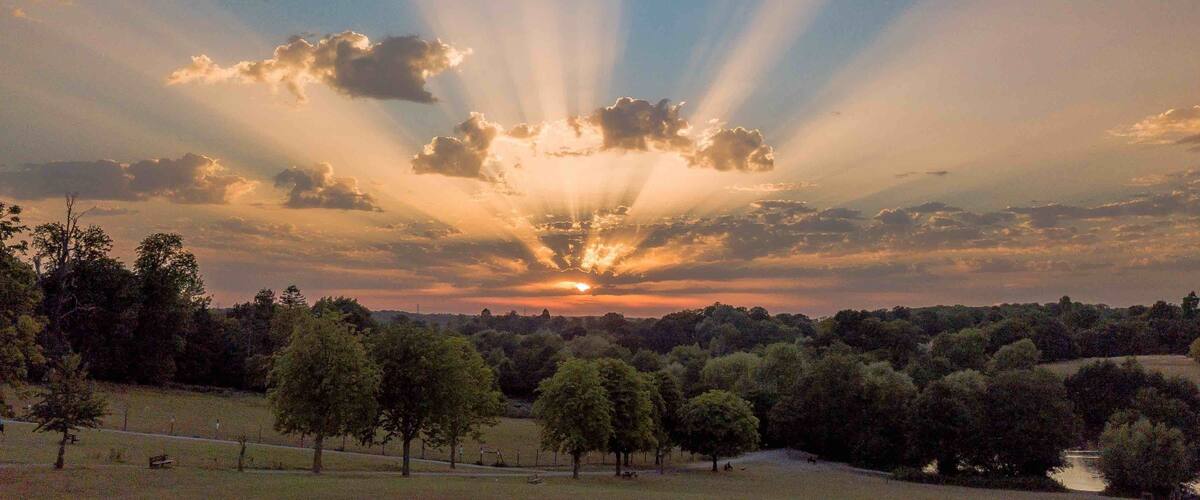A sunset over a park with trees and a field.