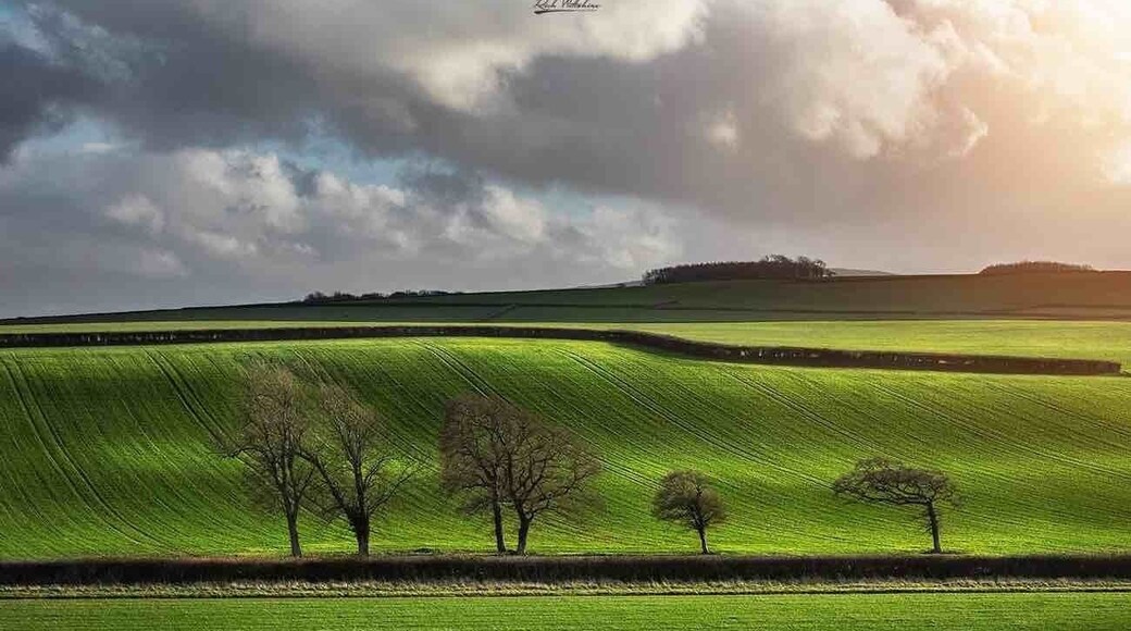 Countryside views at Lilstock