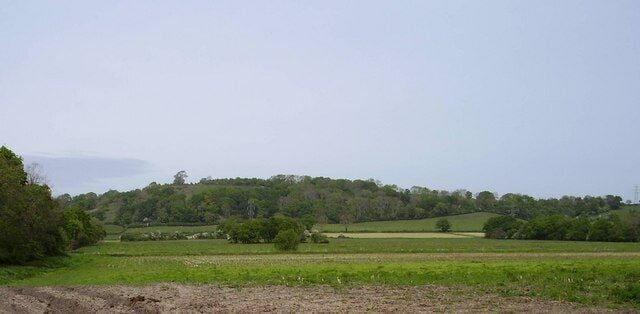 Pedwell Hill One of the Polden Hills