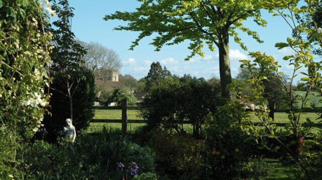Cossington church seen from a village garden A view of the church taken from a cottage garden across pasture land in what was once Cossington Park belonging to the manor.