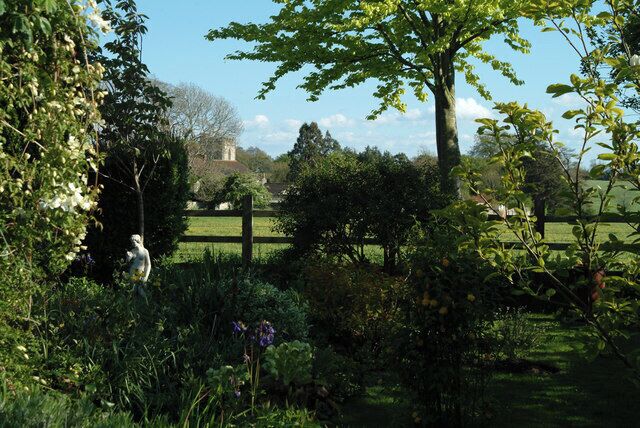 A lush garden with a variety of plants and a large tree in the foreground.