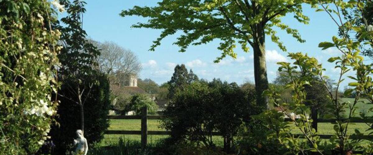 A lush garden with a variety of plants and a large tree in the foreground.