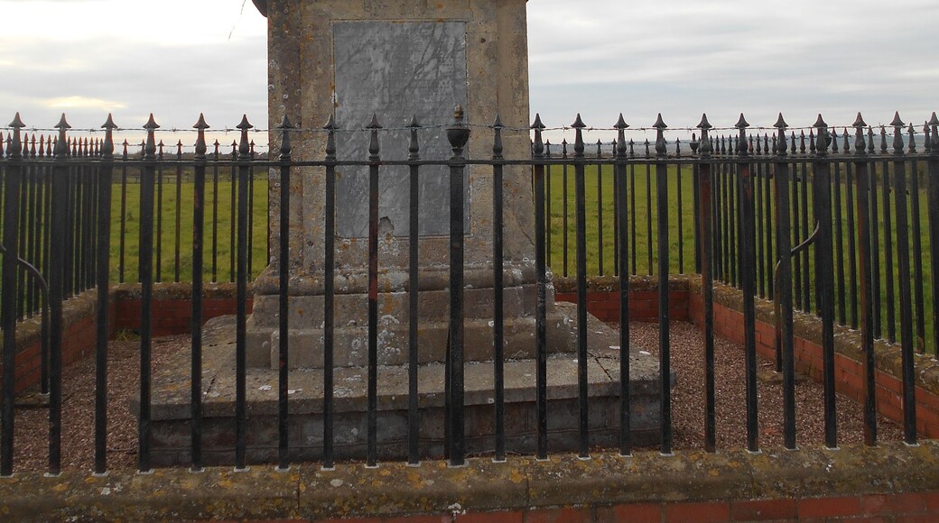 King Alfred's Monument, Athelney, Somerset. Built in 1801 for the squire John Slade.