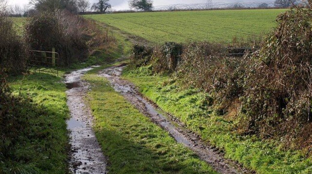 End of Daws Lane. This is how 1670303 ends. Its continuation, as discussed in the description to that image, is pretty much a hedge and ditch going up the hill beyond; footpath BW 23/17 keeps on the left side of this. The frameworks of polytunnels by the pylon cross into ST2831.