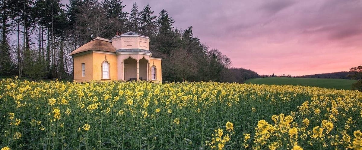 A yellow building with a dome roof surrounded by a field of yellow flowers under a cloudy sky.