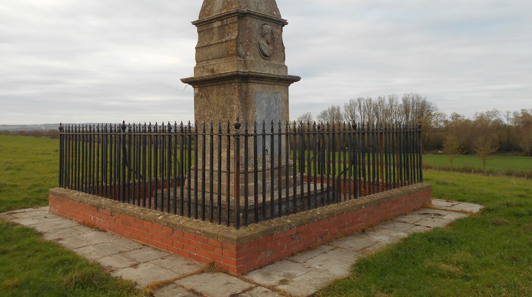King Alfred's Monument, Athelney, Somerset. Built in 1801 for the squire John Slade.