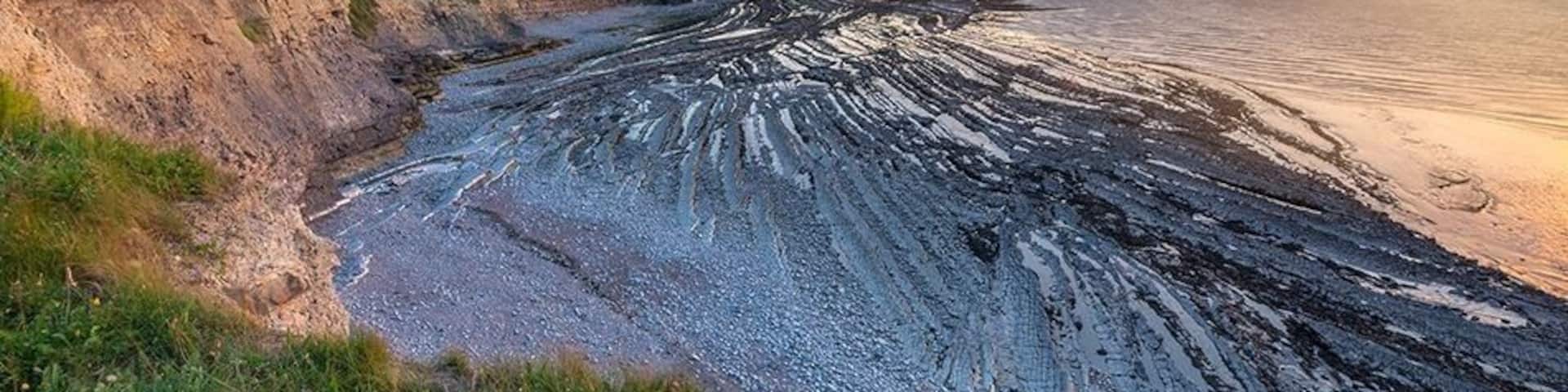 Looking over Kilve Beach from the Tower