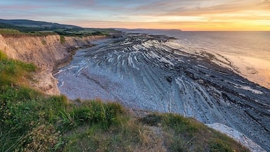 Looking over Kilve Beach from the Tower