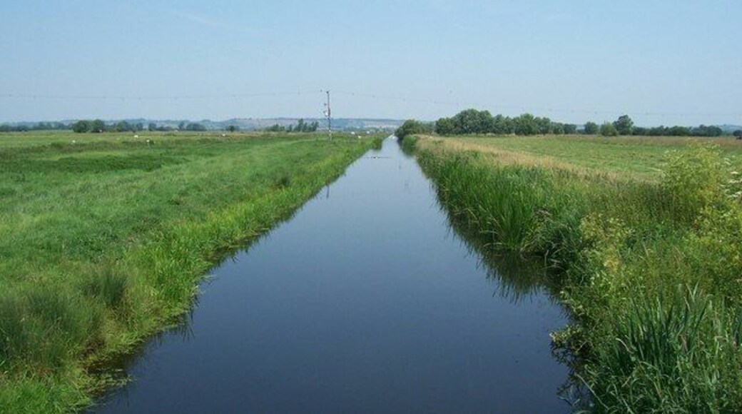 Somerset Levels near Beer Wall Lock The Somerset Levels in all their verdant glory.
