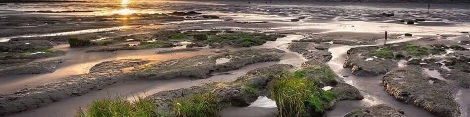 Images captured at steart beach at sunset...