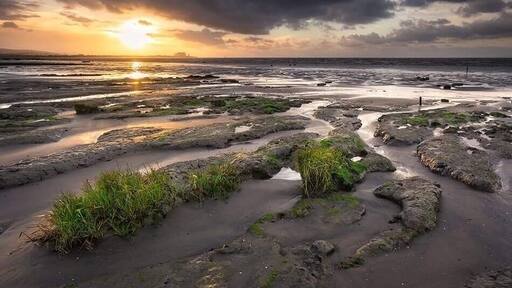 Images captured at steart beach at sunset...